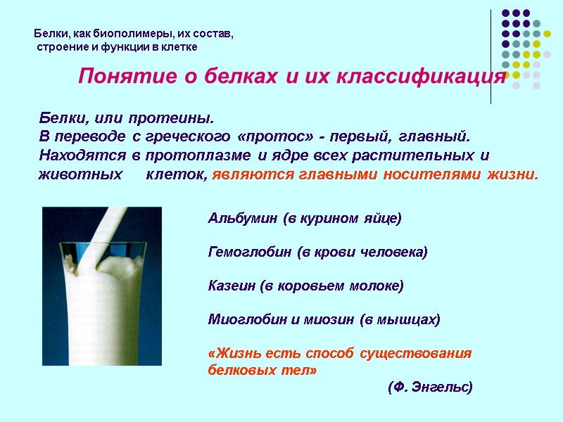 Белки, как биополимеры, их состав,  строение и функции в клетке   Понятие